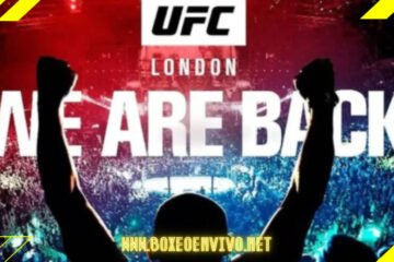 Ver UFC Londres 2022 en Vivo y en Directo Online