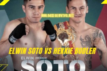 Elwin Soto vs Hekkie Budler: