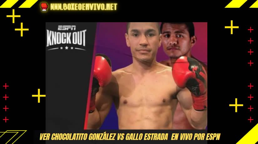 Ver Chocolatito González vs Gallo Estrada  en VIVO por ESPN