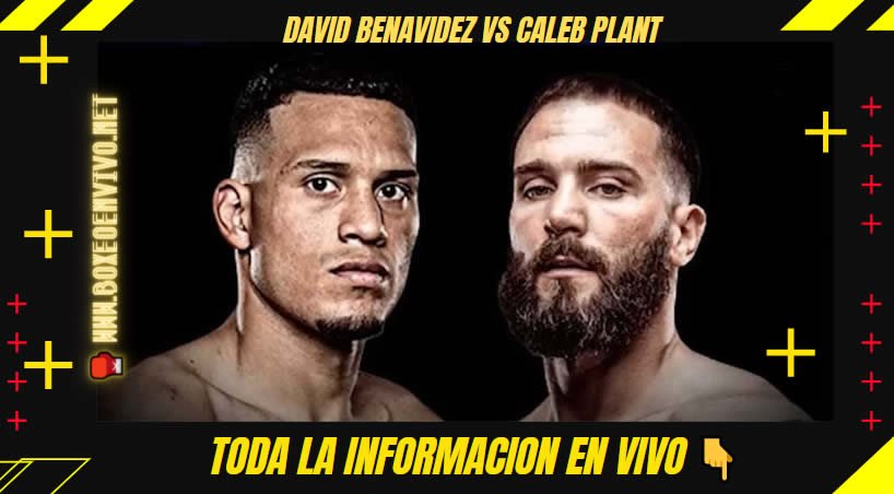 David Benavidez vs Caleb Plant en VIVO Online