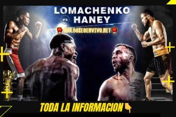 Haney vs Lomachenko